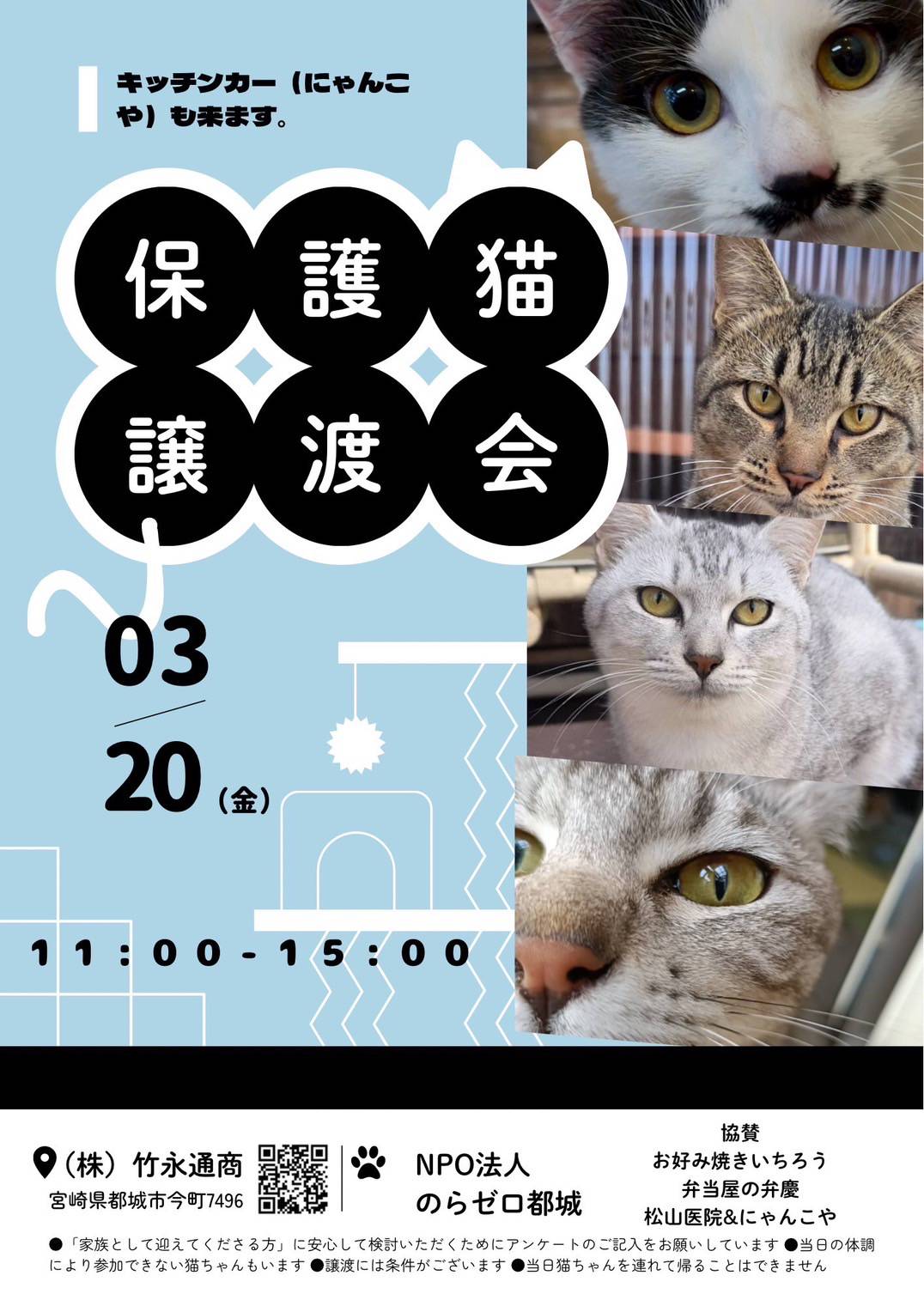 保護猫譲渡会