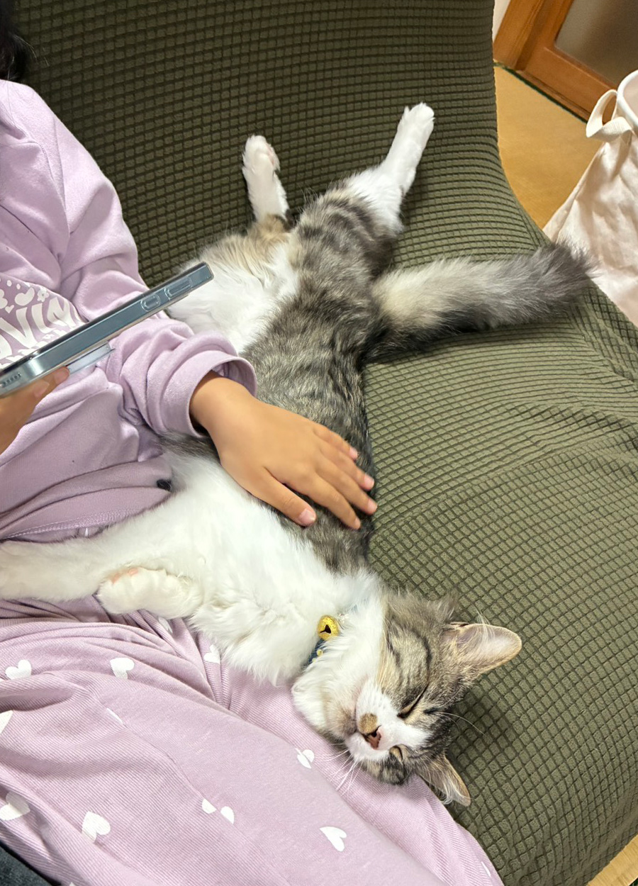 ニコ-001｜のらゼロ都城