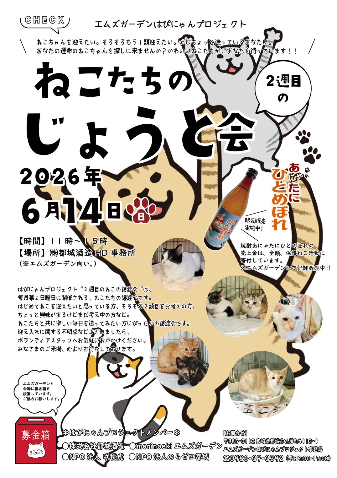 エムズガーデンはぴにゃんプロジェクトねこたちのじょうと会｜のらゼロ都城
