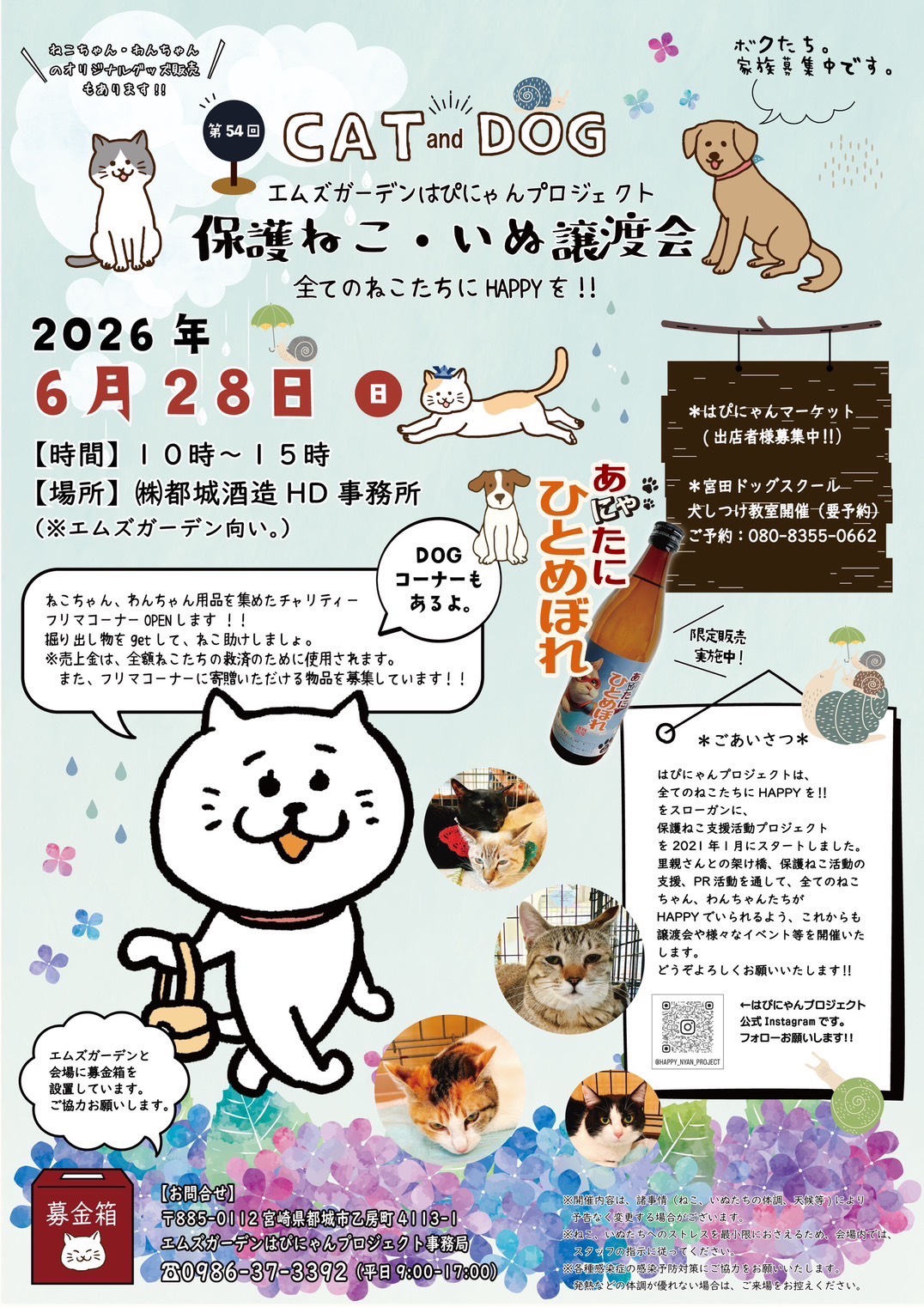 第54回 保護ねこ・いぬの譲渡会｜のらゼロ都城