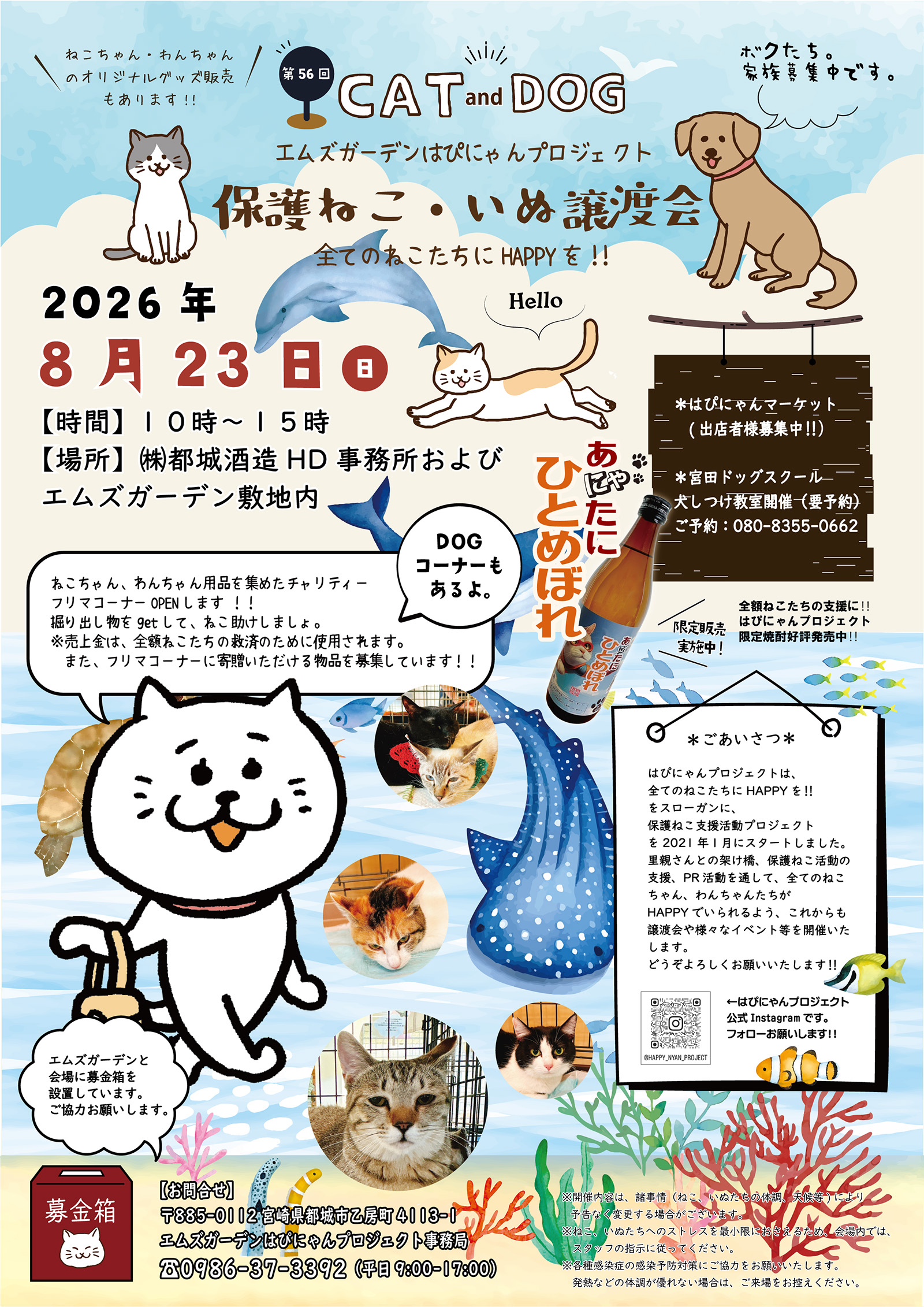 第56回 保護ねこ・いぬの譲渡会｜のらゼロ都城