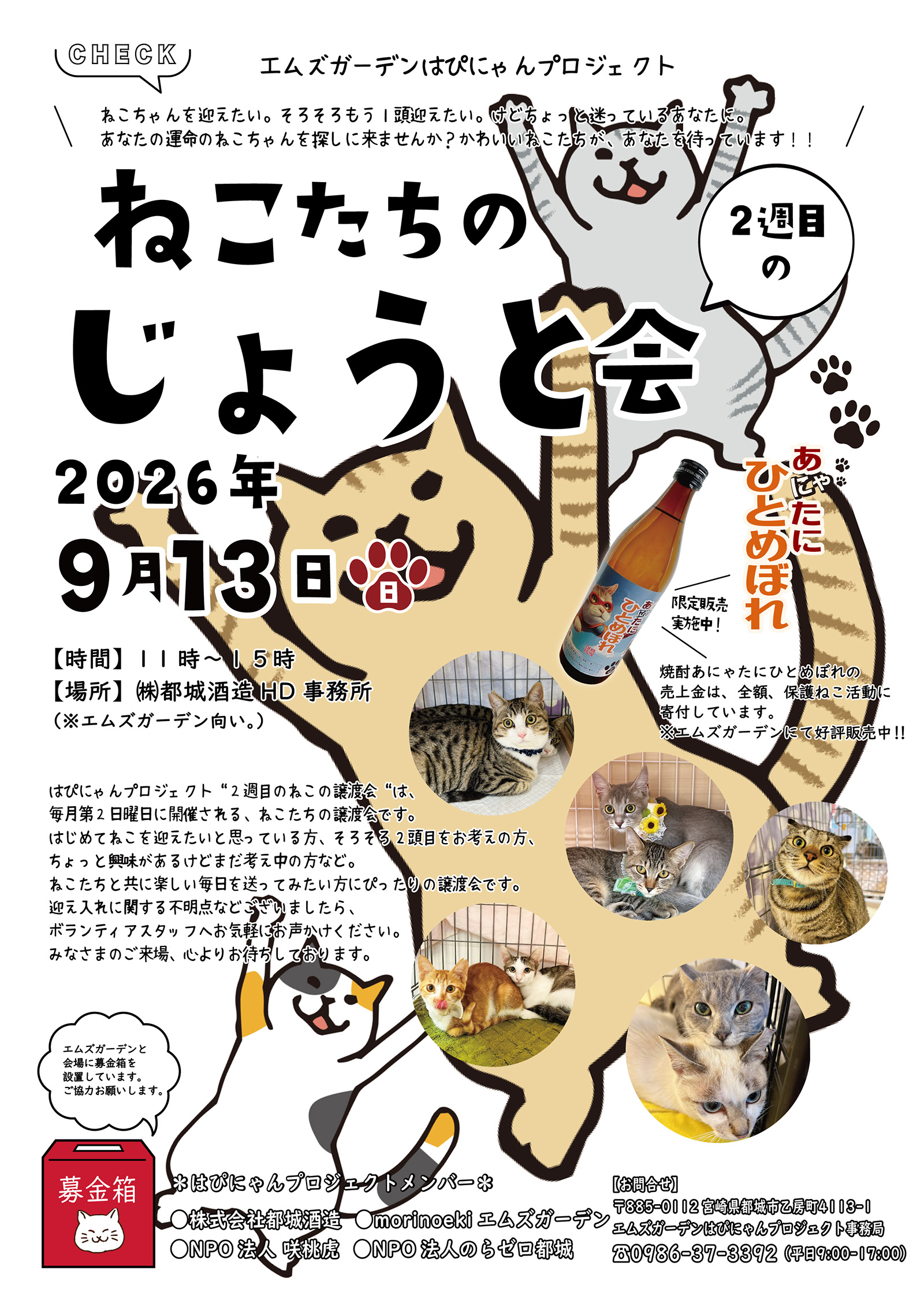 エムズガーデンはぴにゃんプロジェクトねこたちのじょうと会｜のらゼロ都城