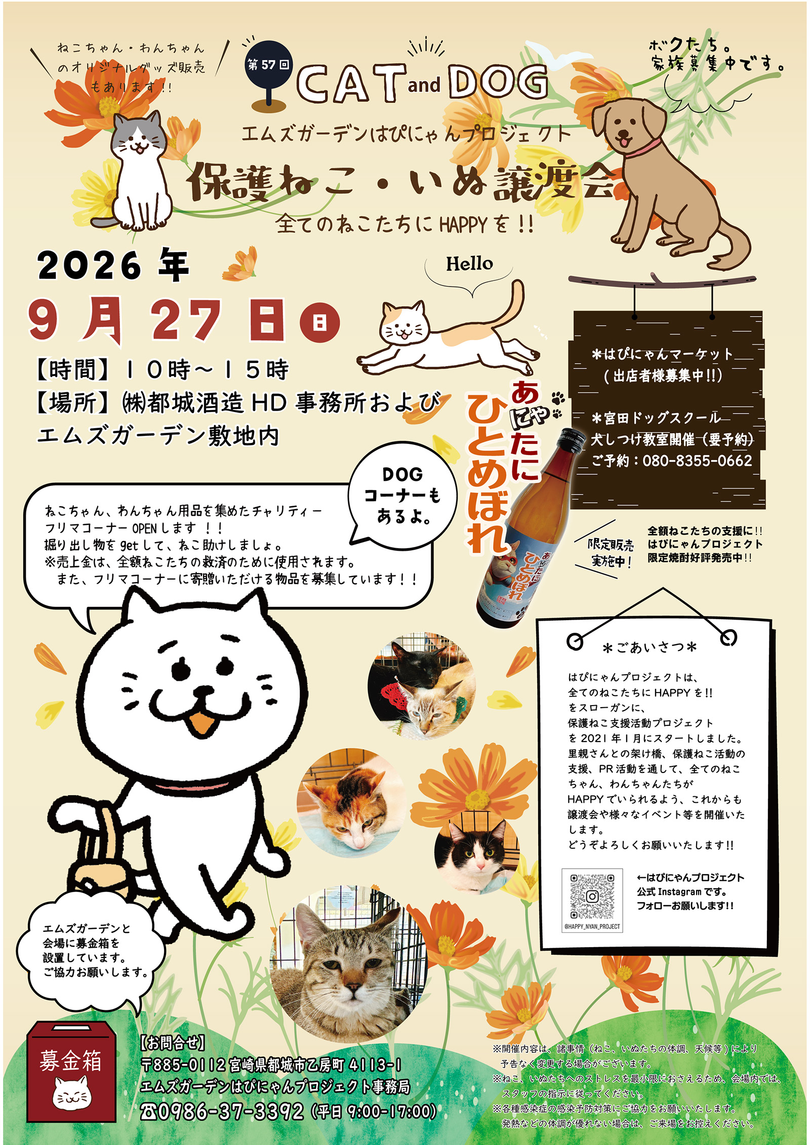 第57回 保護ねこ・いぬの譲渡会｜のらゼロ都城