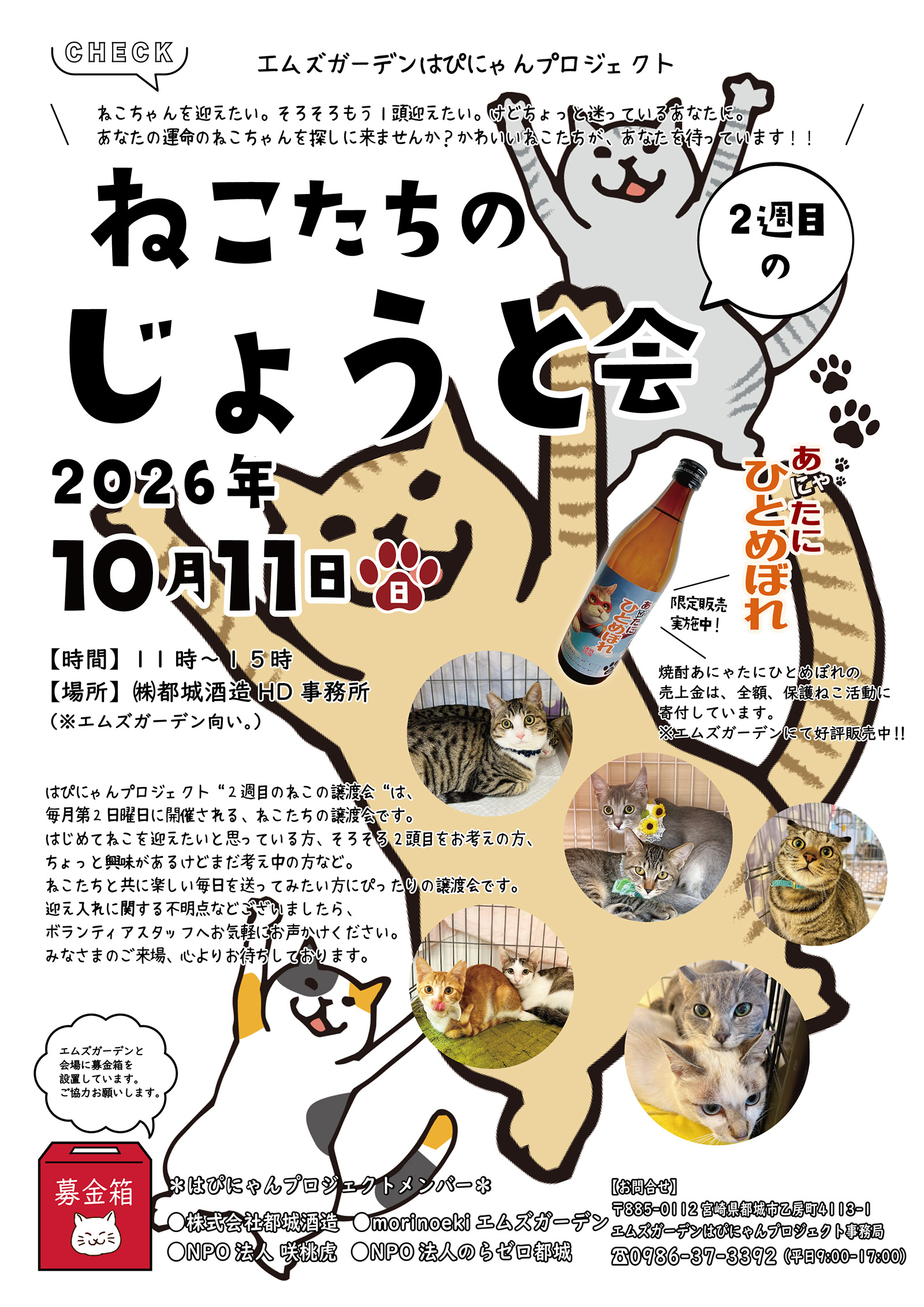 エムズガーデンはぴにゃんプロジェクトねこたちのじょうと会｜のらゼロ都城