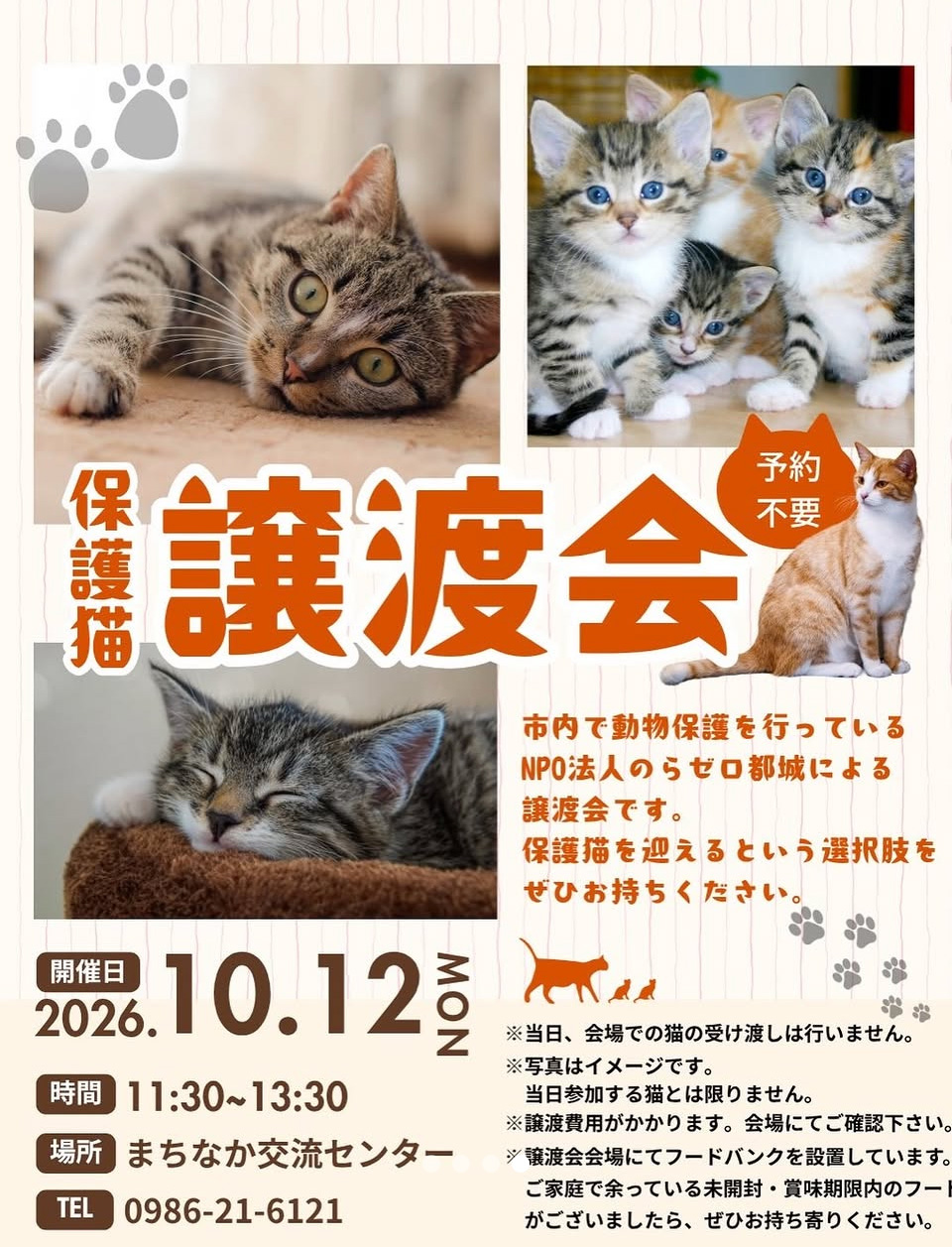 保護猫譲渡会（都城まちなかオーガニックマルシェ）｜のらゼロ都城