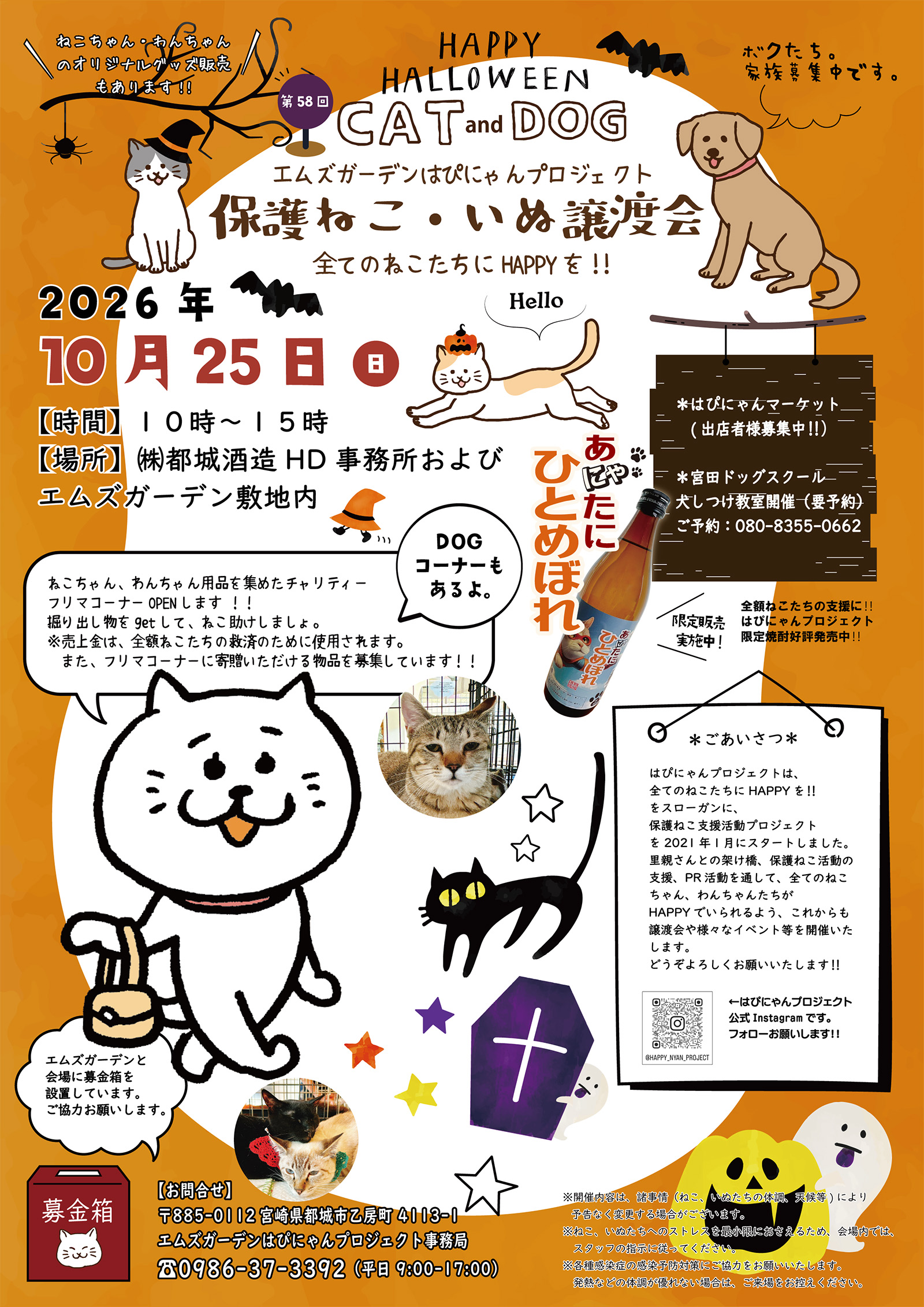第58回 保護ねこ・いぬの譲渡会｜のらゼロ都城