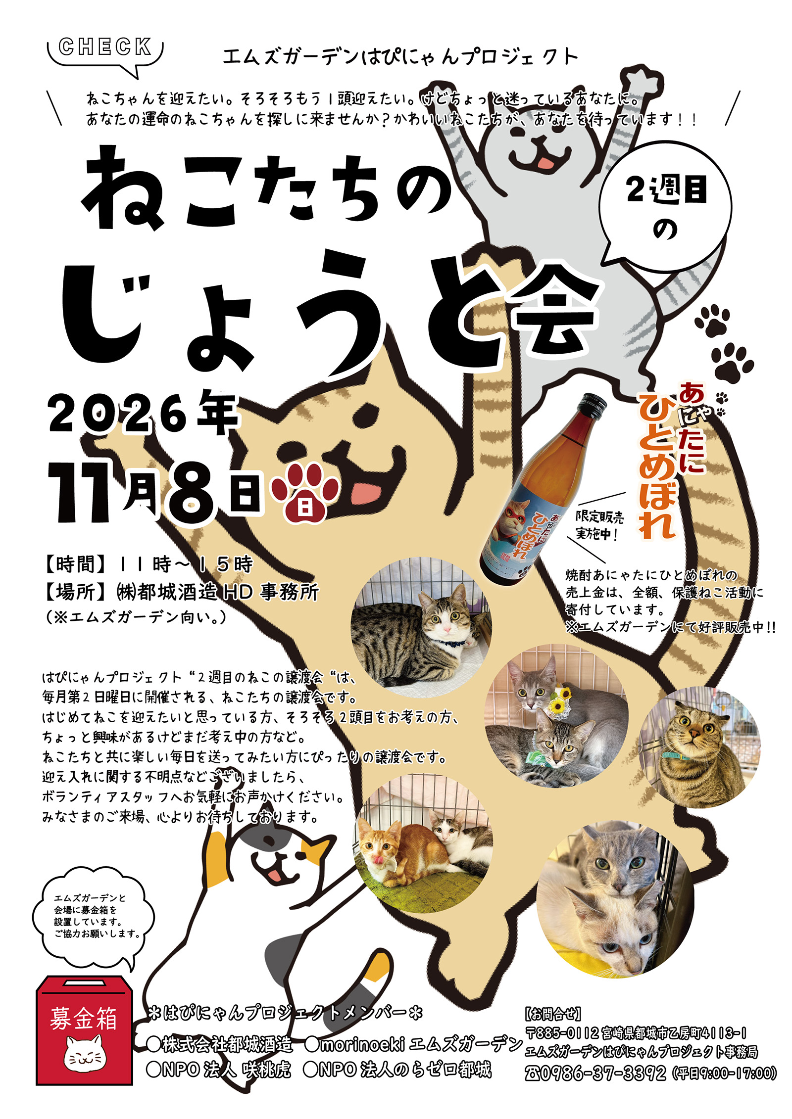 エムズガーデンはぴにゃんプロジェクトねこたちのじょうと会｜のらゼロ都城